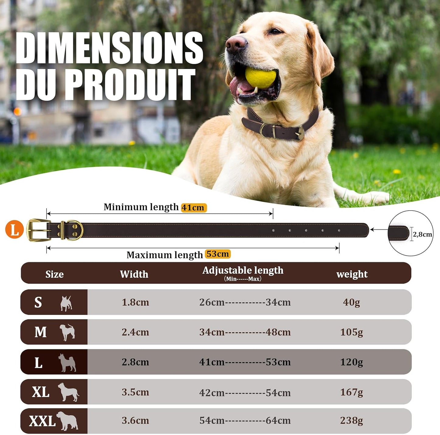 QRDA Leather Dog Collar Brown Dog Training Collar Heavy Duty Premium Leather Dog Collar Dog Collars for Medium/Large Dogs