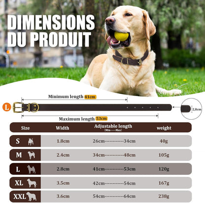 QRDA Leather Dog Collar Brown Dog Training Collar Heavy Duty Premium Leather Dog Collar Dog Collars for Medium/Large Dogs