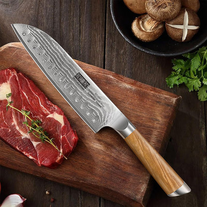 HOSHANHO Damascus Fillet Knife 7 Inch, Professional VG-10 Super Steel Boning Knife, Ultra Sharp Fish Knife with Ergonomic Handle