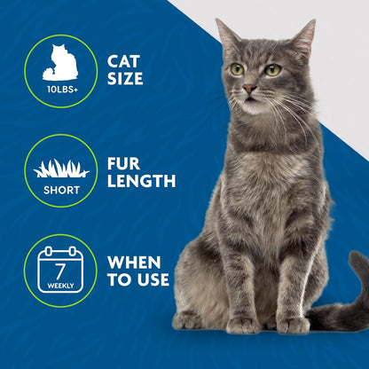 FURminator Short Hair deShedding Tool For Cats (Small)