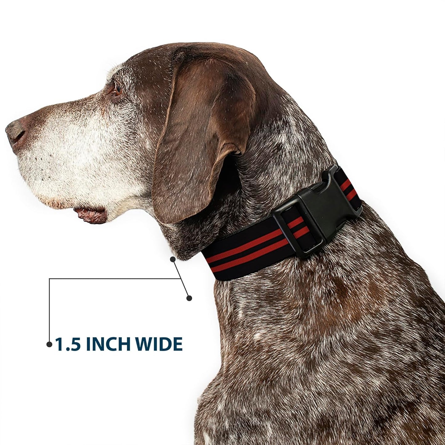 Buckle-Down PC-W21909-M Dog Collar Plastic Clip Buckle, 1"x11"-17", Star Black/White