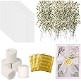 50 Sets Wedding Invitation Wrap Kit for 5x7 Invitations – Pre-Folded Vellum Jackets, 12 Rolls Chiffon Ribbon, Dried Gypsophila & Wax Seal Stickers – Elegant DIY Wedding Supplies