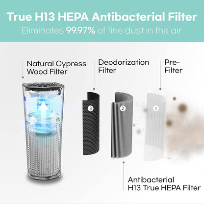IMUNSEN M-003R True HEPA 13 Filter Air Purifier for Car, Desk, and Office with Carbon Deodorization Filter, 4-Stage Filtration, Smoke, Odors, Allergens, USB Port 5V, Made in Korea - Red - PuriLite