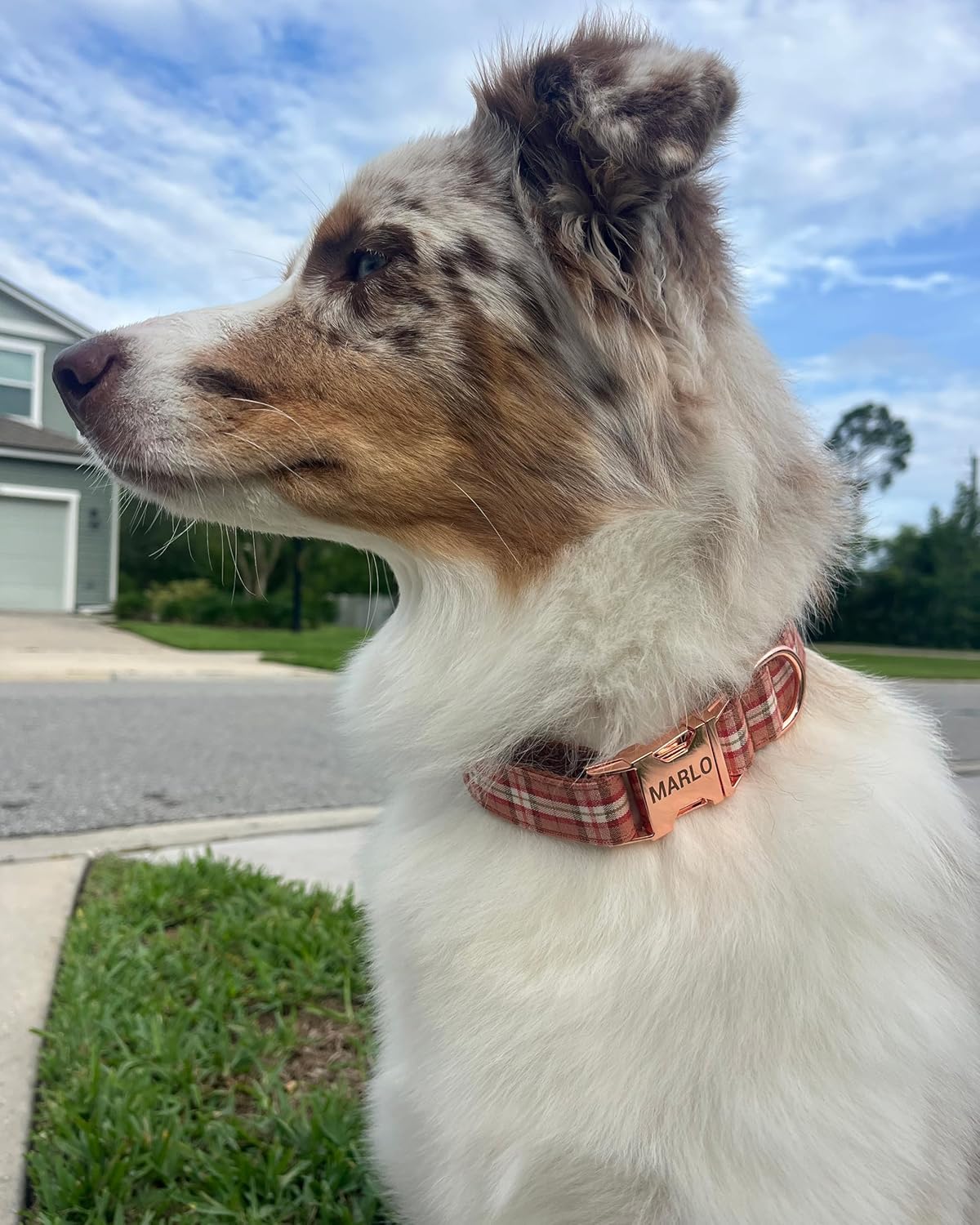 PETDURO Personalized Buffalo Plaid Dog Collar Red Black - Engraved Name and Phone Number on Black Metal Buckle - Custom for Small Medium Large Boy Girl Dogs - Add Leash Bow Tie via Customize Now