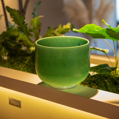 TOPFUND F Note Crystal Singing Bowl Heart Chakra 8 inch with Heavy Duty Carrying Case and Suede Striker