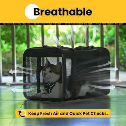 Conlun Cat Carrier Bag,Soft-Sided Pet Carriers for Dogs with 4-Sided Mesh,Airline Approved Cat Transport Carrier for Small&Medium Cats Kitten Puppy Up to 6Kg,Collapsible Cat Travel Carrier-M,Black