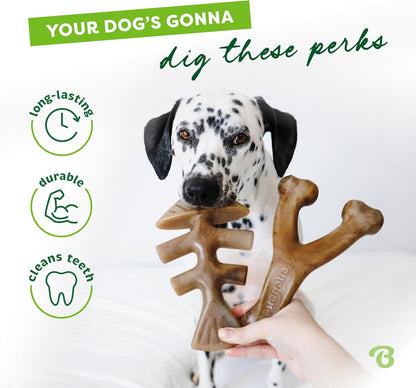 Benebone 4-Pack Durable Dog Chew Toys for Aggressive Chewers, Real Flavors, Made in USA, Medium