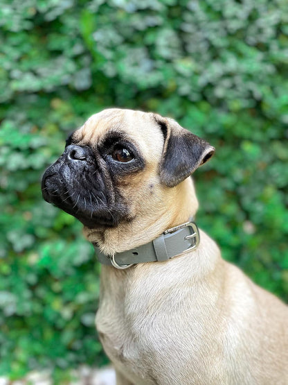 Tuff Pupper Classic Heavy Duty Dog Collar | 10x Stronger Than Leather | 100% Waterproof & Odor Proof Dog Collar | Tough Rust-Proof All Metal Hardware