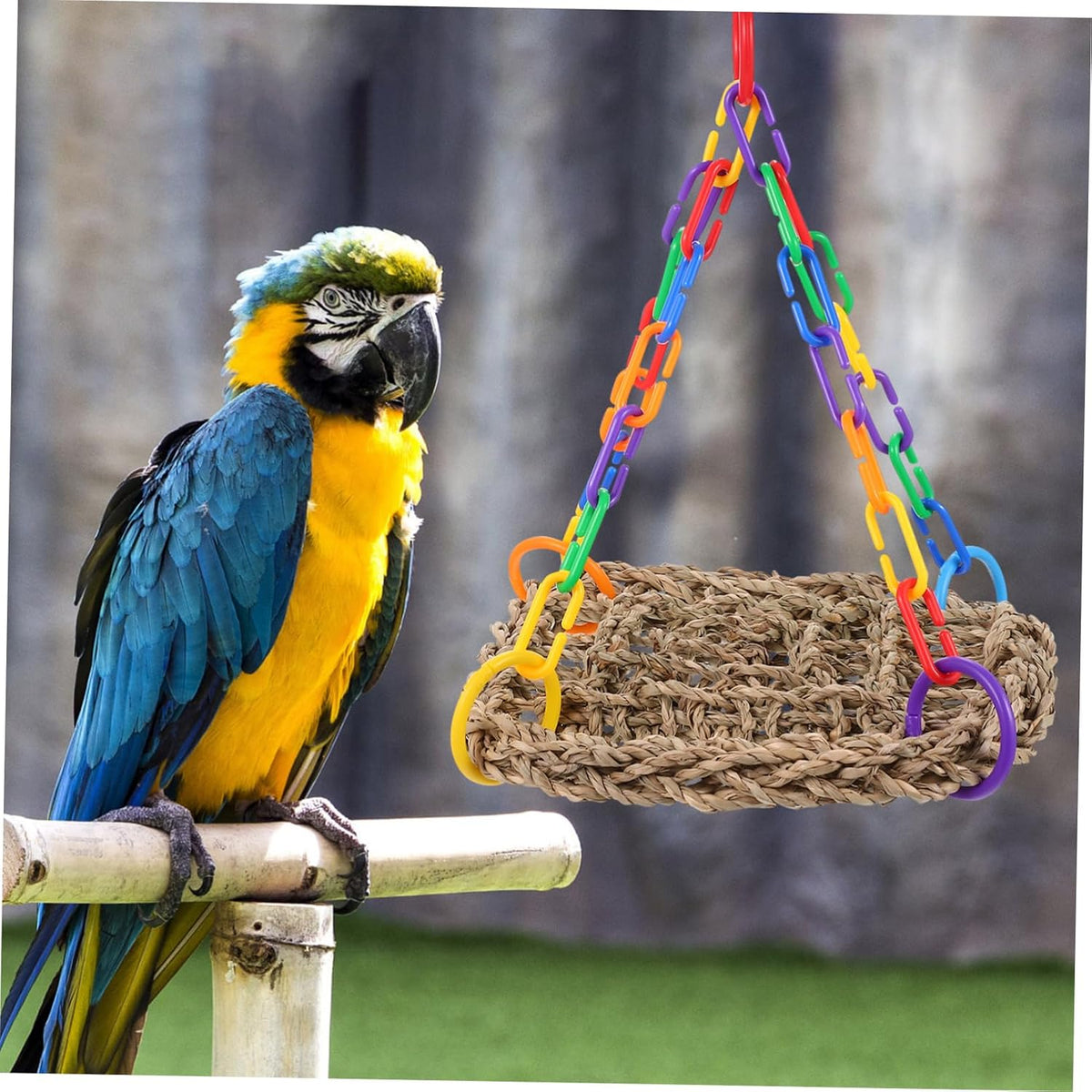 NOLITOY 3pcs Parrot Climbing Toy Woven Bird Perch for Cage Parakeet Toy Bird Swing Pet Supply