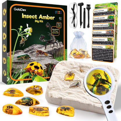 Amber Dig Kit for Kids – STEM Excavation Toy with 6 Insect Specimens, Educational Bug Fossil Digging Set for Ages 6+, Science Learning and Party Favor Activity - PuriLite