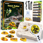 Amber Dig Kit for Kids – STEM Excavation Toy with 6 Insect Specimens, Educational Bug Fossil Digging Set for Ages 6+, Science Learning and Party Favor Activity - PuriLite