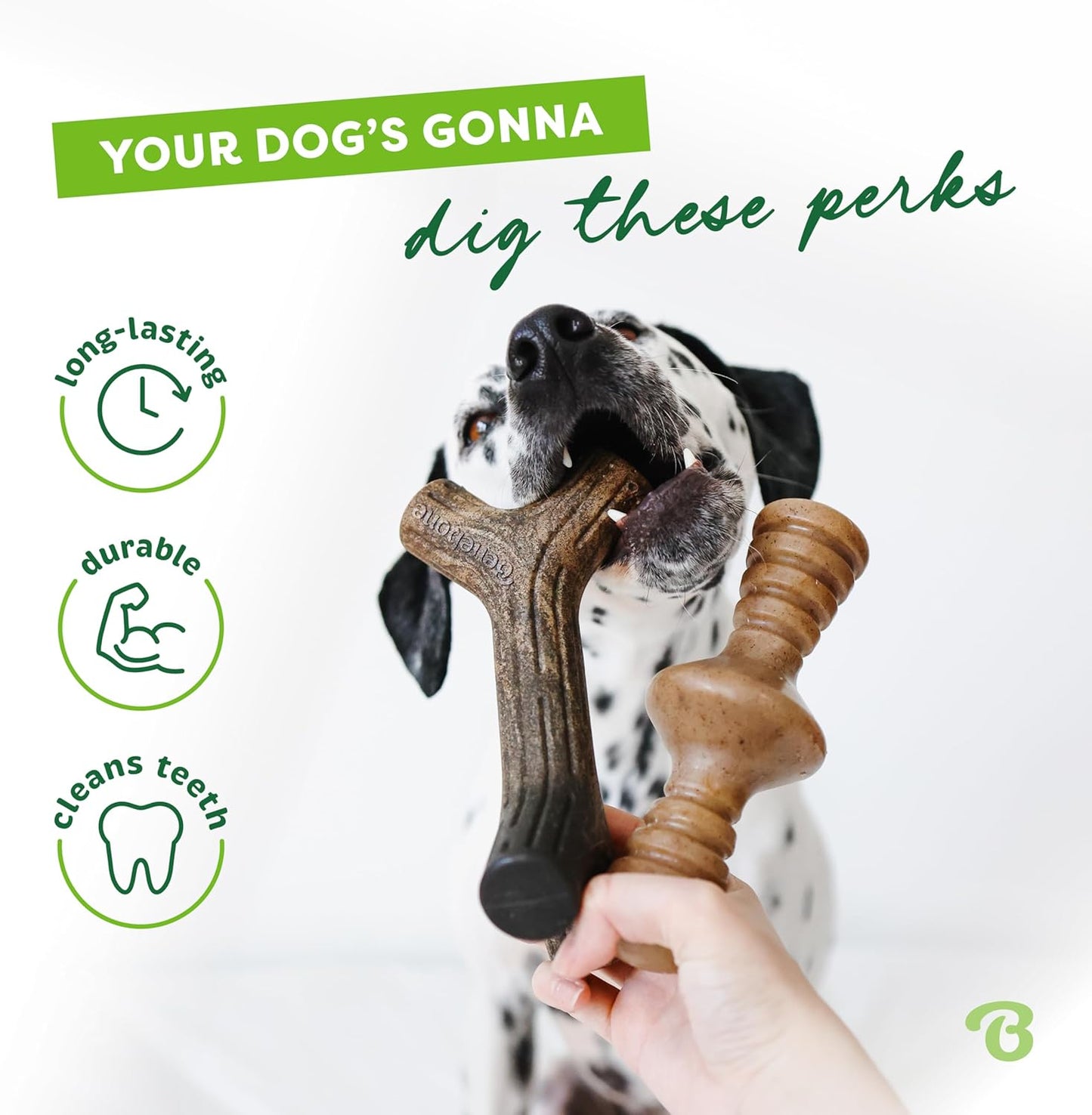 Benebone 4-Pack Durable Dog Chew Toys for Aggressive Chewers, Real Flavors, Made in USA, Medium