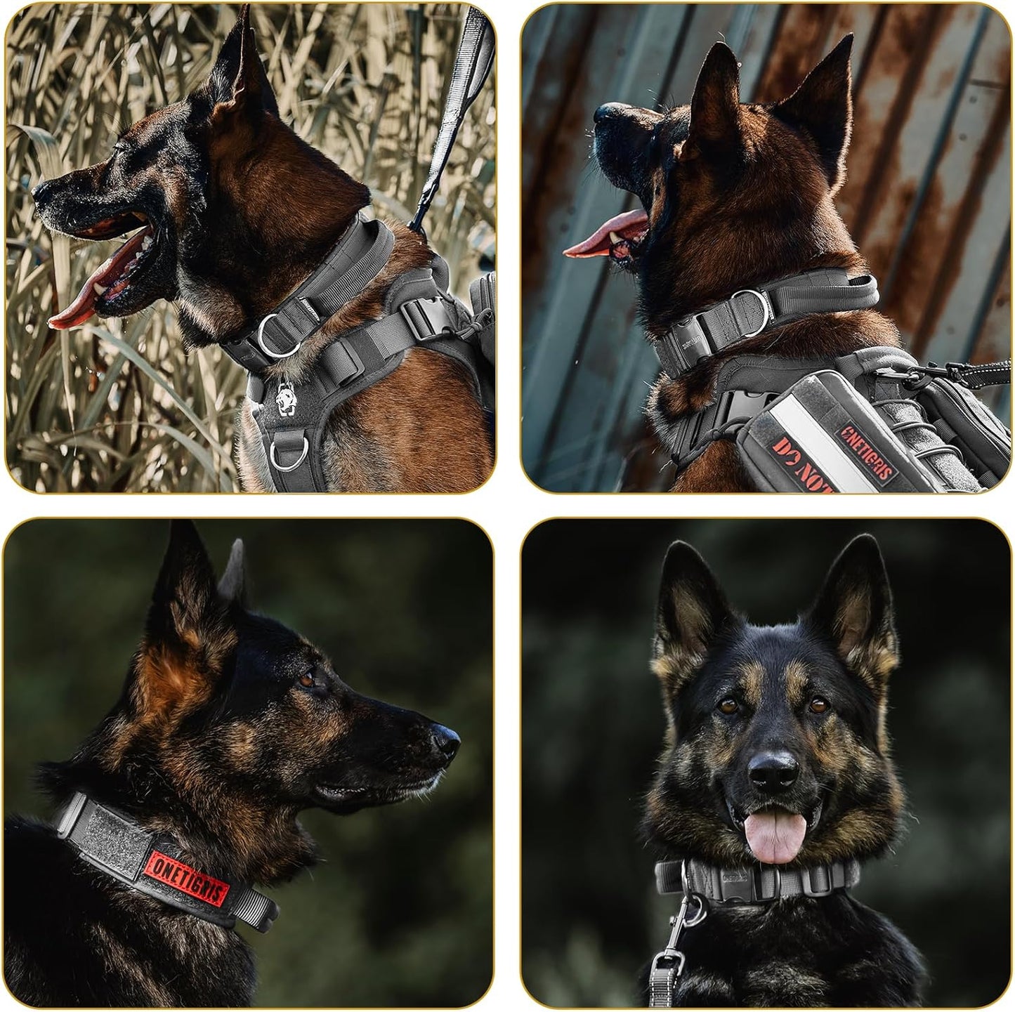 OneTigris Tactical Dog Collars with Handle,Military Dog Collar for Large Dog,Adjustable Nylon Collar German Shepherd Collar with Heavy Duty Metal Buckle for Dog Training and Walking (M, Orange)