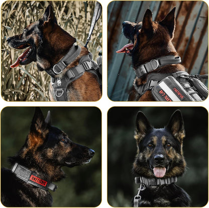 OneTigris Tactical Dog Collars with Handle,Military Dog Collar for Large Dog,Adjustable Nylon Collar German Shepherd Collar with Heavy Duty Metal Buckle for Dog Training and Walking (M, Orange)