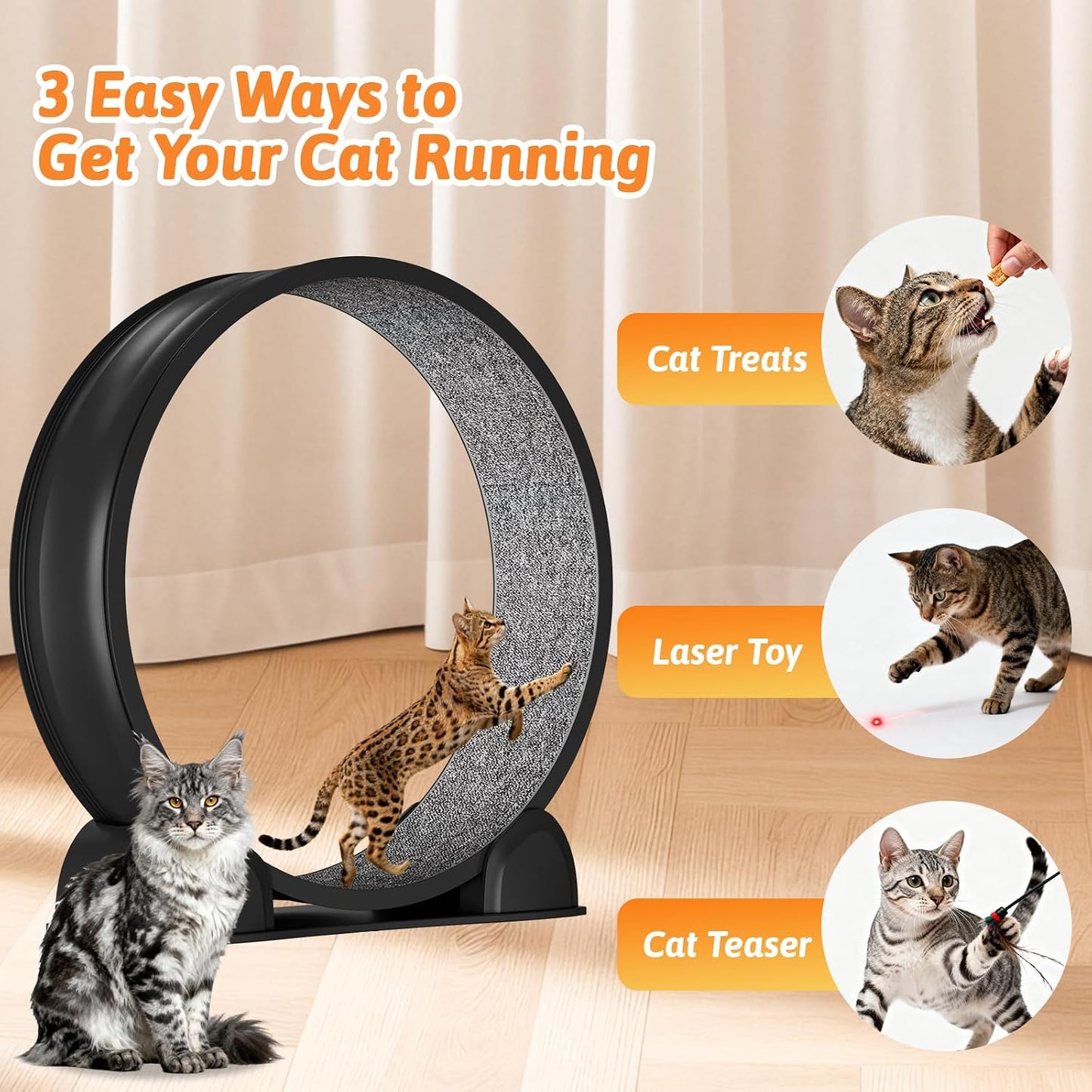 Cat Exercise Wheel with Pedometer, 44" Large Cat Running Treadmill with Carpeted Runway for Indoor Cats Up to 30 lbs, Small Animal Health & Fitness (No Electronics) (Black-Gray Carpet)