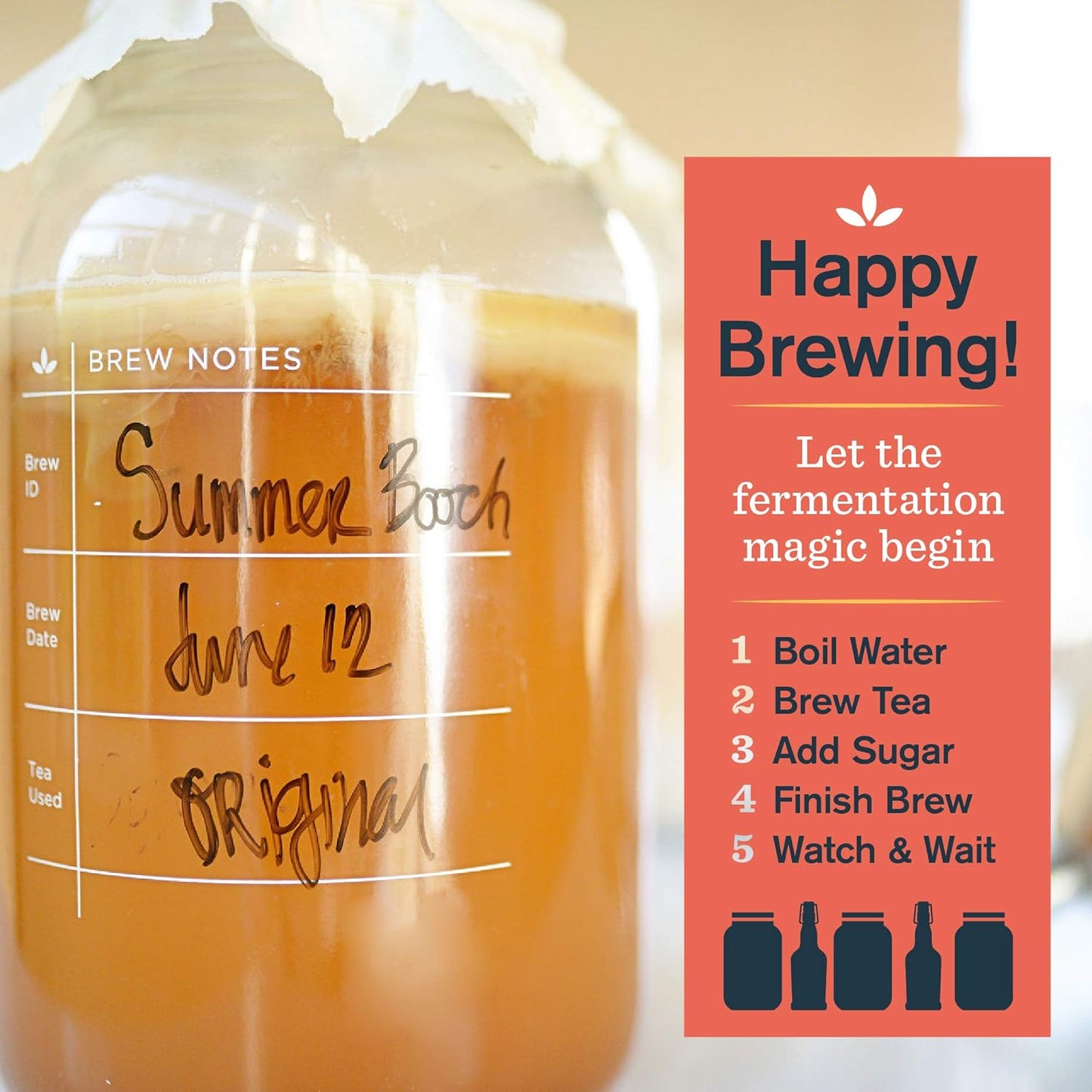 The Kombucha Shop Kombucha Brewing Kit 1 Gallon Glass Brew Jar, Kombucha SCOBY and Starter Pouch, Temperature Gauge