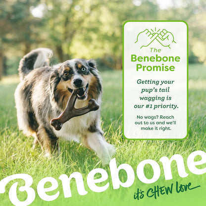 Benebone 4-Pack Durable Dog Chew Toys for Aggressive Chewers, Real Flavors, Made in USA, Medium