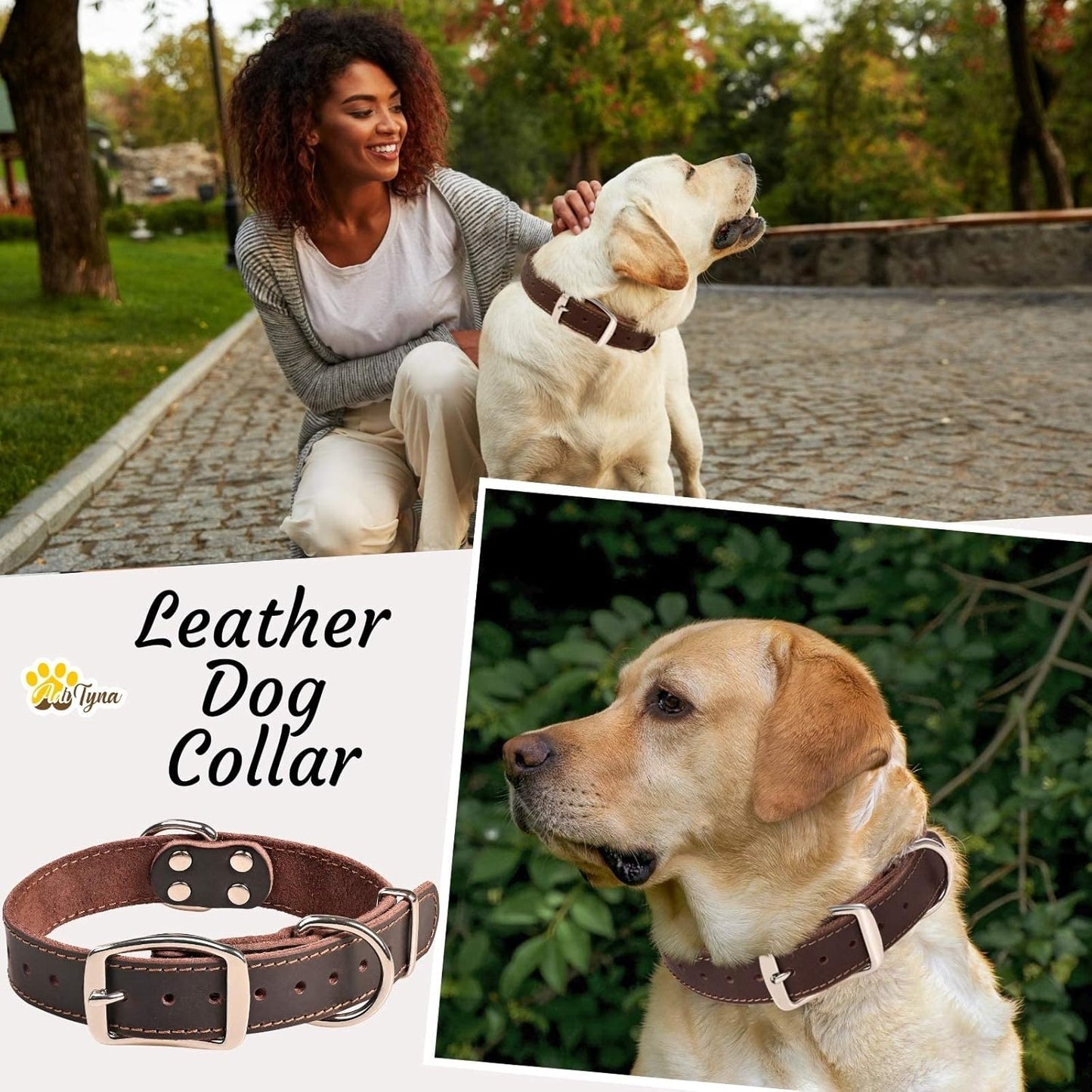 ADITYNA Heavy-Duty Leather Dog Collar for Medium Dogs - Soft and Strong, 100% Genuine Leather - Collier Pour Chien (Medium: Fit 13" - 20" Neck, Brown)