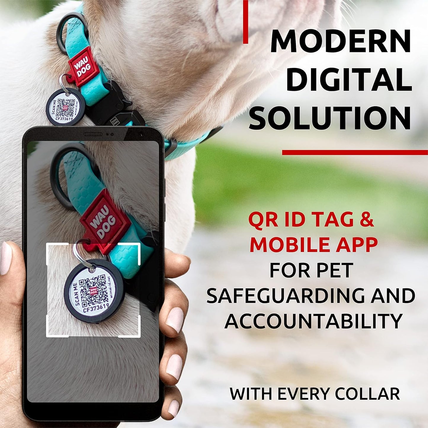 Waterproof Dog Collar - Adjustable Glow Dog Collar for Large Dogs, Small and Medium Dogs - Heavy Duty Dog Collars with Durable Metal Clasp and QR Dog Tag - Glow in The Dark Dog Collars