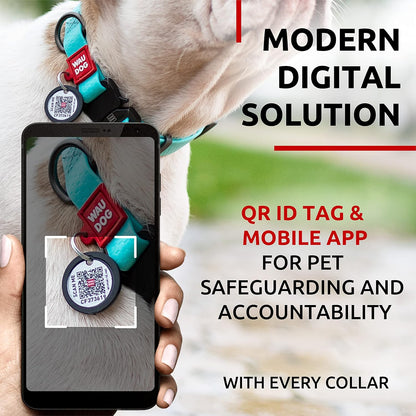 Waterproof Dog Collar - Adjustable Glow Dog Collar for Large Dogs, Small and Medium Dogs - Heavy Duty Dog Collars with Durable Metal Clasp and QR Dog Tag - Glow in The Dark Dog Collars