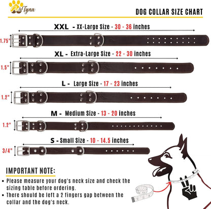ADITYNA Heavy-Duty Leather Dog Collar for Medium Dogs - Soft and Strong, 100% Genuine Leather - Collier Pour Chien (Medium: Fit 13" - 20" Neck, Brown)