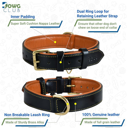 DowgClub | Genuine Leather Dog Collar | Full Grain, Heavy Duty | Comfortable, Strong | Best for Pups, Small, Medium & Large Breeds | Pink, Brown, Black, Tan
