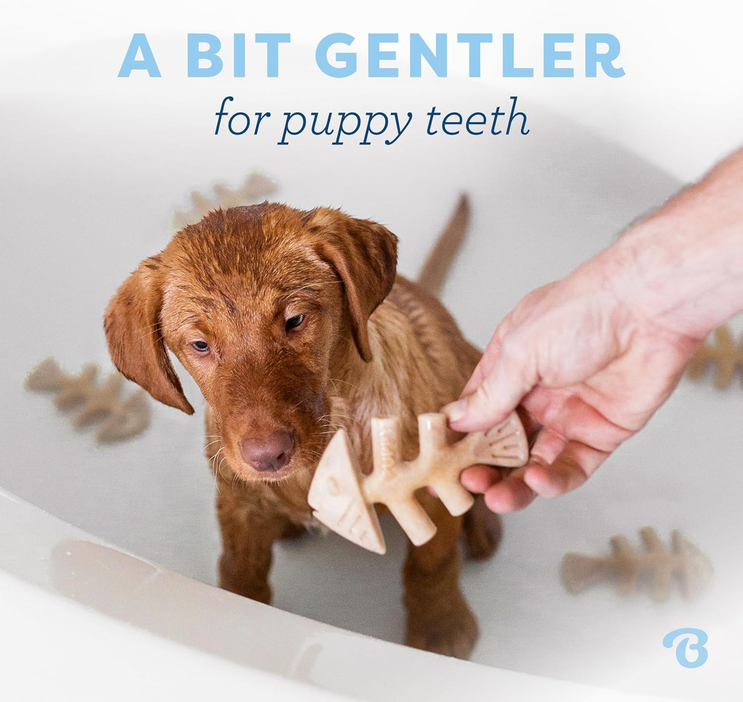 Benebone 4-Pack Durable Dog Chew Toys for Aggressive Chewers, Real Flavors, Made in USA, Medium