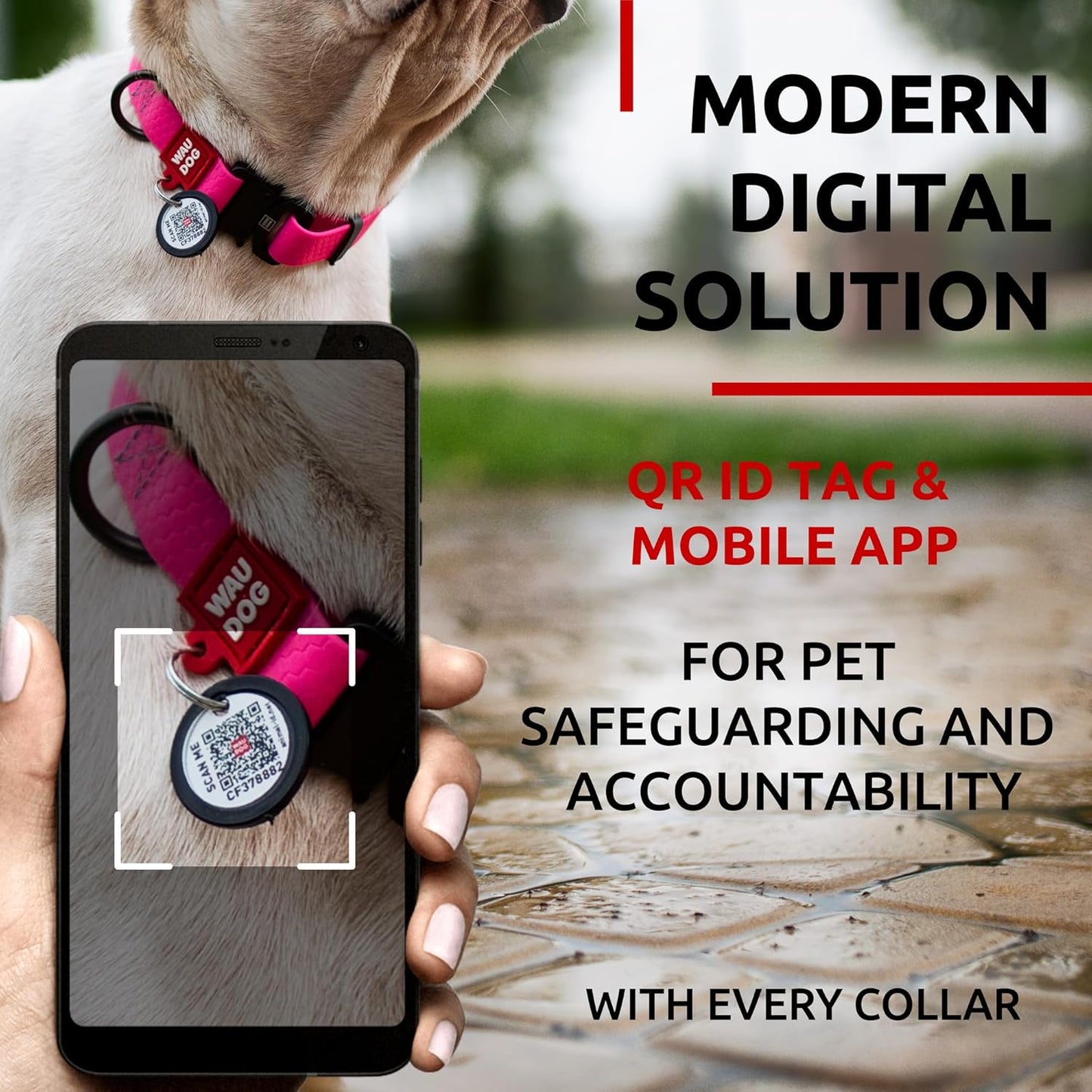 Waterproof Dog Collar - Adjustable Glow Dog Collar for Large Dogs, Small and Medium Dogs - Heavy Duty Dog Collars with Durable Metal Clasp and QR Dog Tag - Glow in The Dark Dog Collars