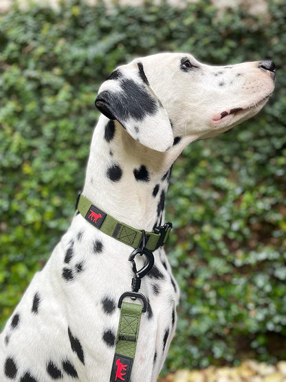 Tuff Pupper Waterproof Action Collar for Dogs | Heavy Duty Water Proof Dog Collar | Tear Proof & Odor Free | Rust-Proof Metal Hardware | Tactical Quick Release Buckle | for Adventurous, Active Dogs