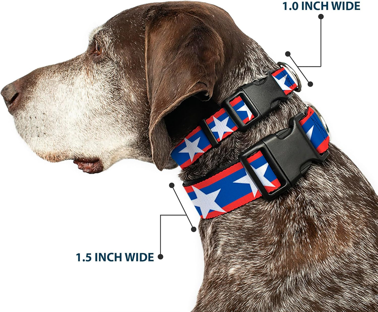 Buckle-Down PC-W21909-M Dog Collar Plastic Clip Buckle, 1"x11"-17", Star Black/White