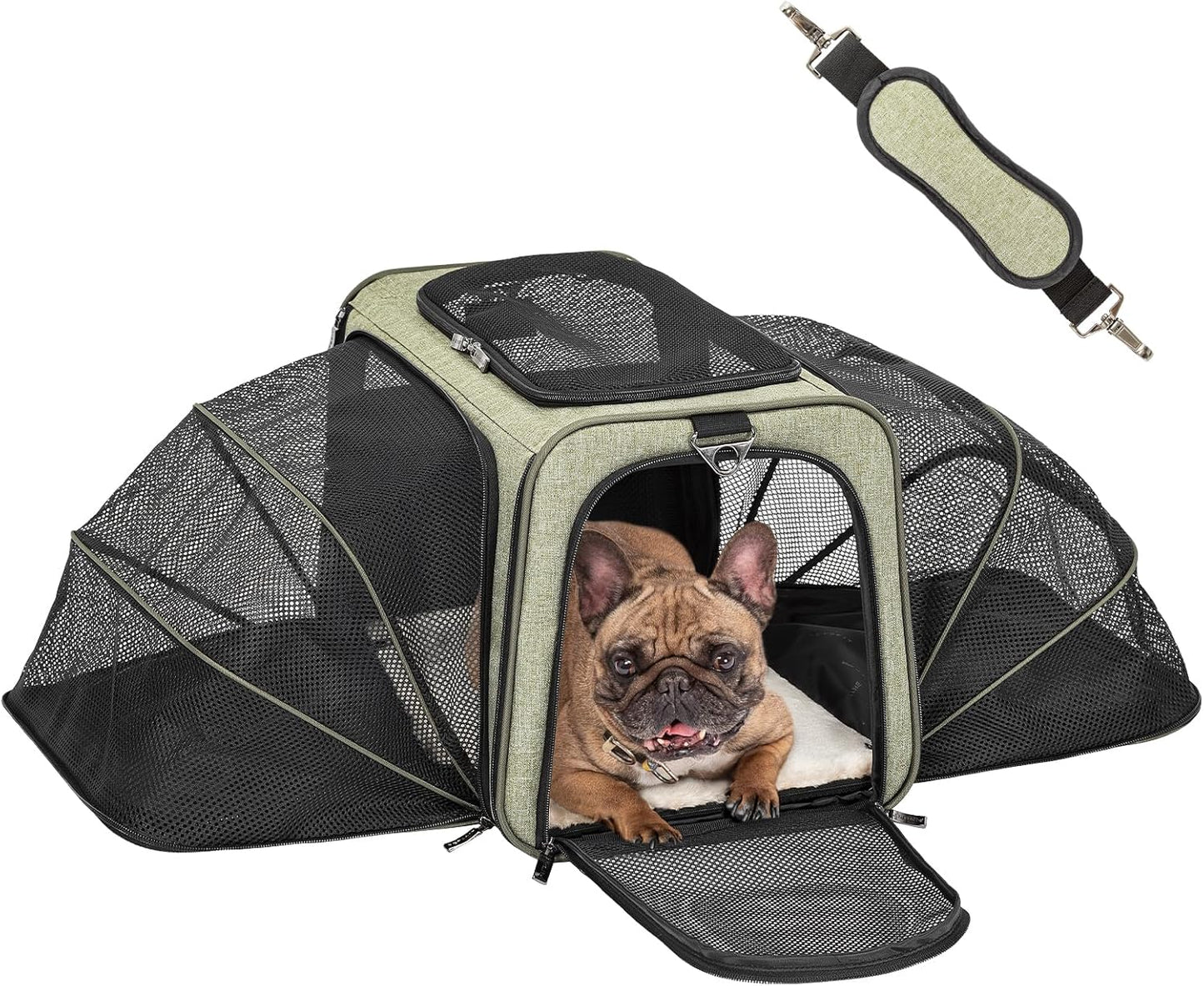 Petsfit Expandable Cat Dog Carrier Airline Approved, 17" L x 11" W x 11" H Soft-Sided Portable Pet Travel Carrier for Kitten, Puppy, Removable Soft Plush Mat and Pockets, Auto-Locking Zippers