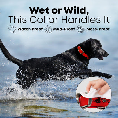 Regal Dog Products Small Orange Waterproof Dog Collar and Leash Set - Vinyl Coated, Biothane Puppy Pet Training Collar with Heavy Duty Center Ring & 5'ft Leash - Other Sizes for Medium & Large Dogs