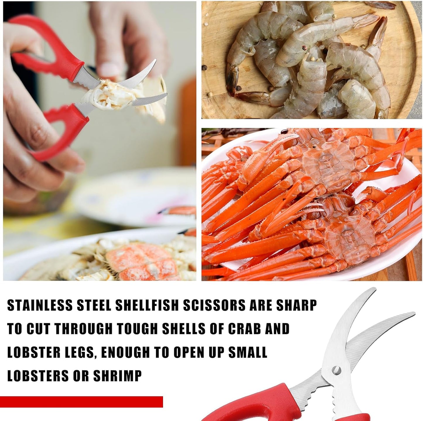 Gisafai 20 Pcs Kitchen Seafood Scissors for Crab Bulk,Leg Scissors Multifunctional Stainless Steel Shears Crab Leg Crackers Fish Shrimp Lobster Tools for Kitchen Seafood Peeling (Red)