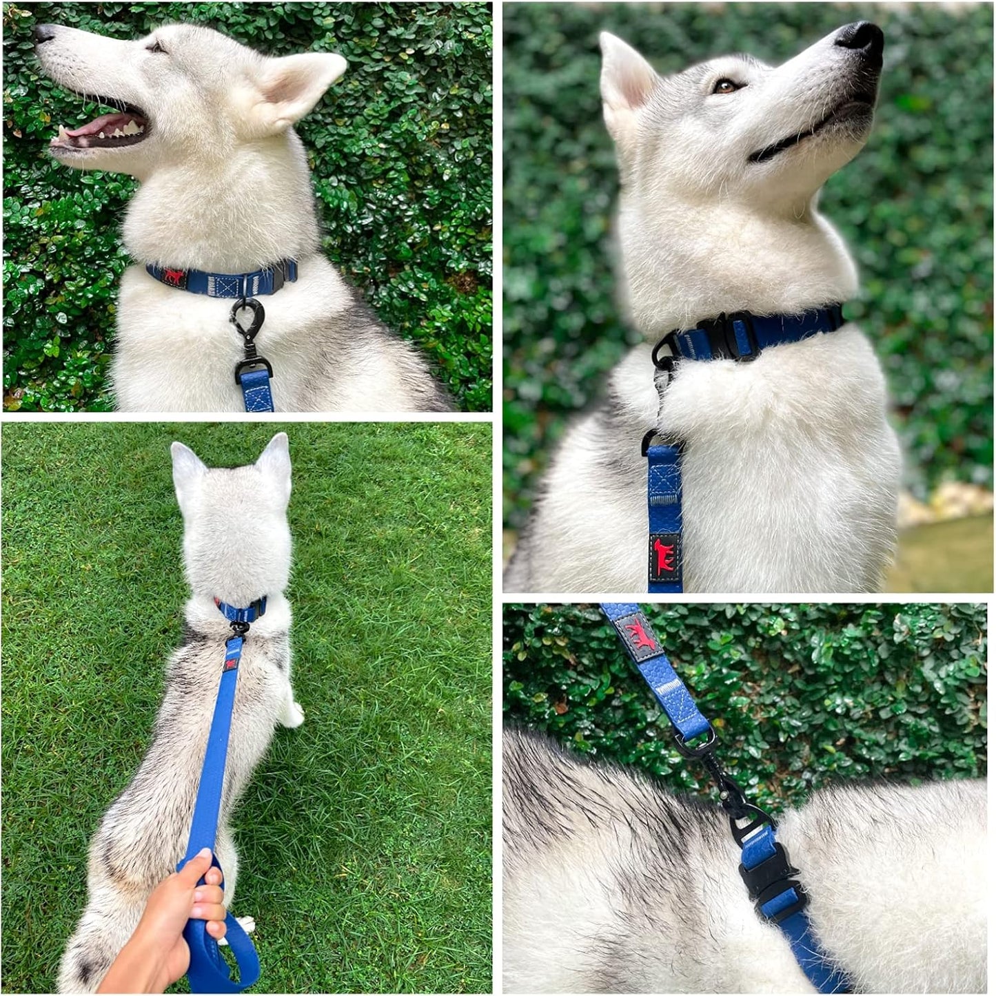 Tuff Pupper Waterproof Action Collar for Dogs | Heavy Duty Water Proof Dog Collar | Tear Proof & Odor Free | Rust-Proof Metal Hardware | Tactical Quick Release Buckle | for Adventurous, Active Dogs