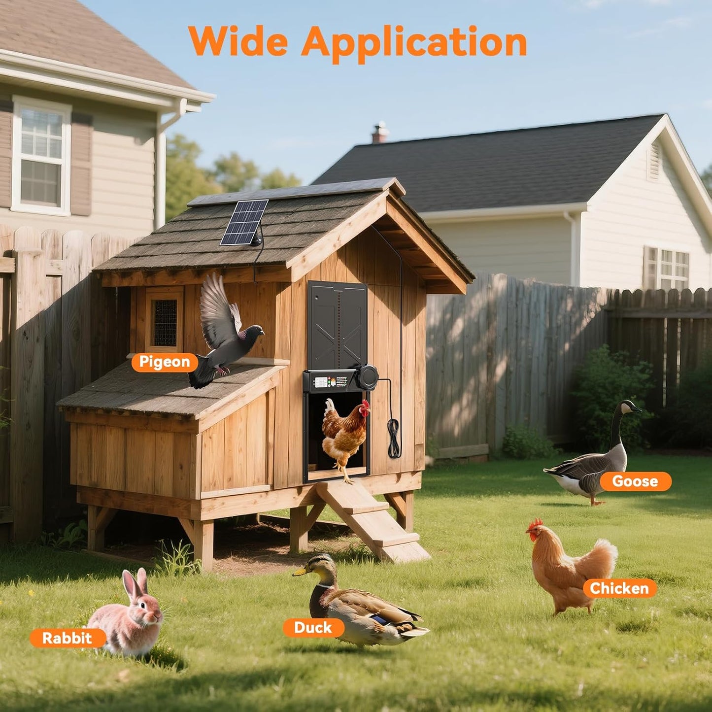 Large Automatic Chicken Coop Door Solar Powered