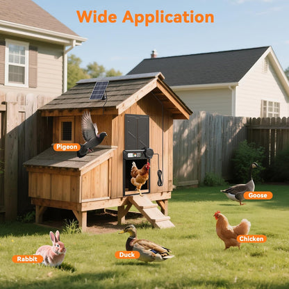 Large Automatic Chicken Coop Door Solar Powered