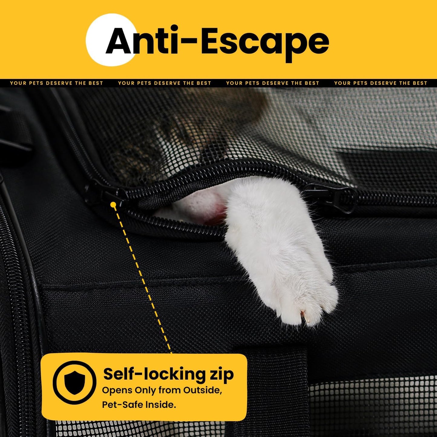 Conlun Cat Carrier Bag,Soft-Sided Pet Carriers for Dogs with 4-Sided Mesh,Airline Approved Cat Transport Carrier for Small&Medium Cats Kitten Puppy Up to 6Kg,Collapsible Cat Travel Carrier-M,Black