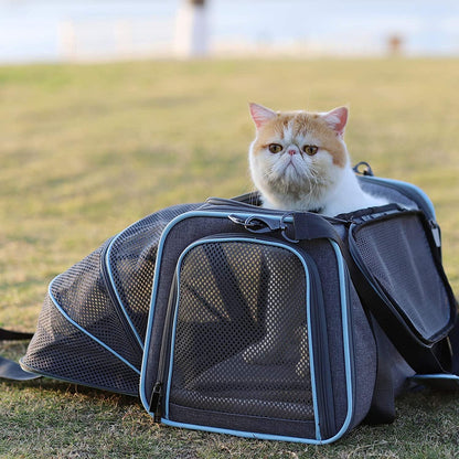 Petsfit Expandable Cat Dog Carrier Airline Approved, 17" L x 11" W x 11" H Soft-Sided Portable Pet Travel Carrier for Kitten, Puppy, Removable Soft Plush Mat and Pockets, Auto-Locking Zippers