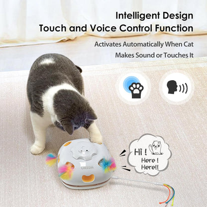 ORSDA Cat Toys Interactive, 4 in 1 Automatic Cat Toy, Hide and Seek, Whack a Mole, Magic Wand, Chasing Feather, with 4 Replacements, USB Rechargeable, for All Breed Sizes