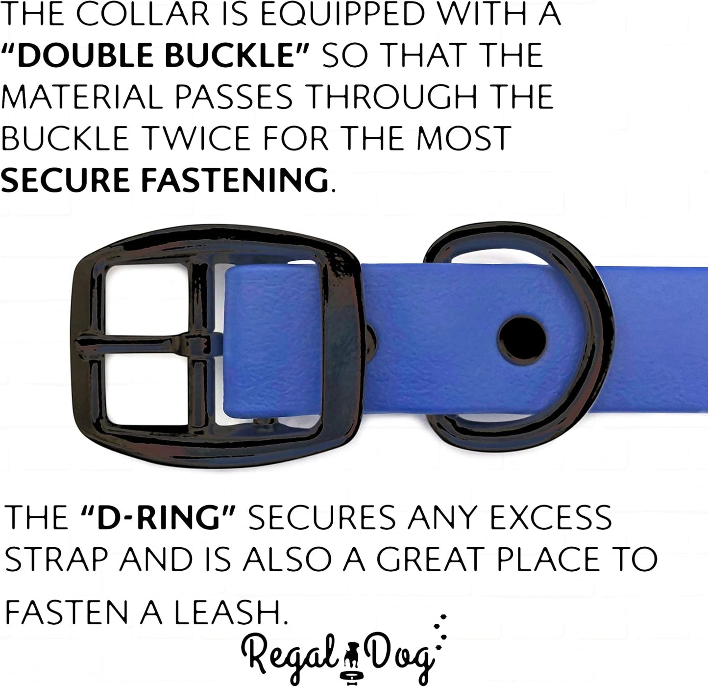 Regal Dog Products Small Orange Waterproof Hunting Dog Collar with Heavy Duty Black Hardware Buckle & D Ring | Custom Fit Vinyl-Coated Webbing Water Resistant Collar for Small, Medium & Large Dogs