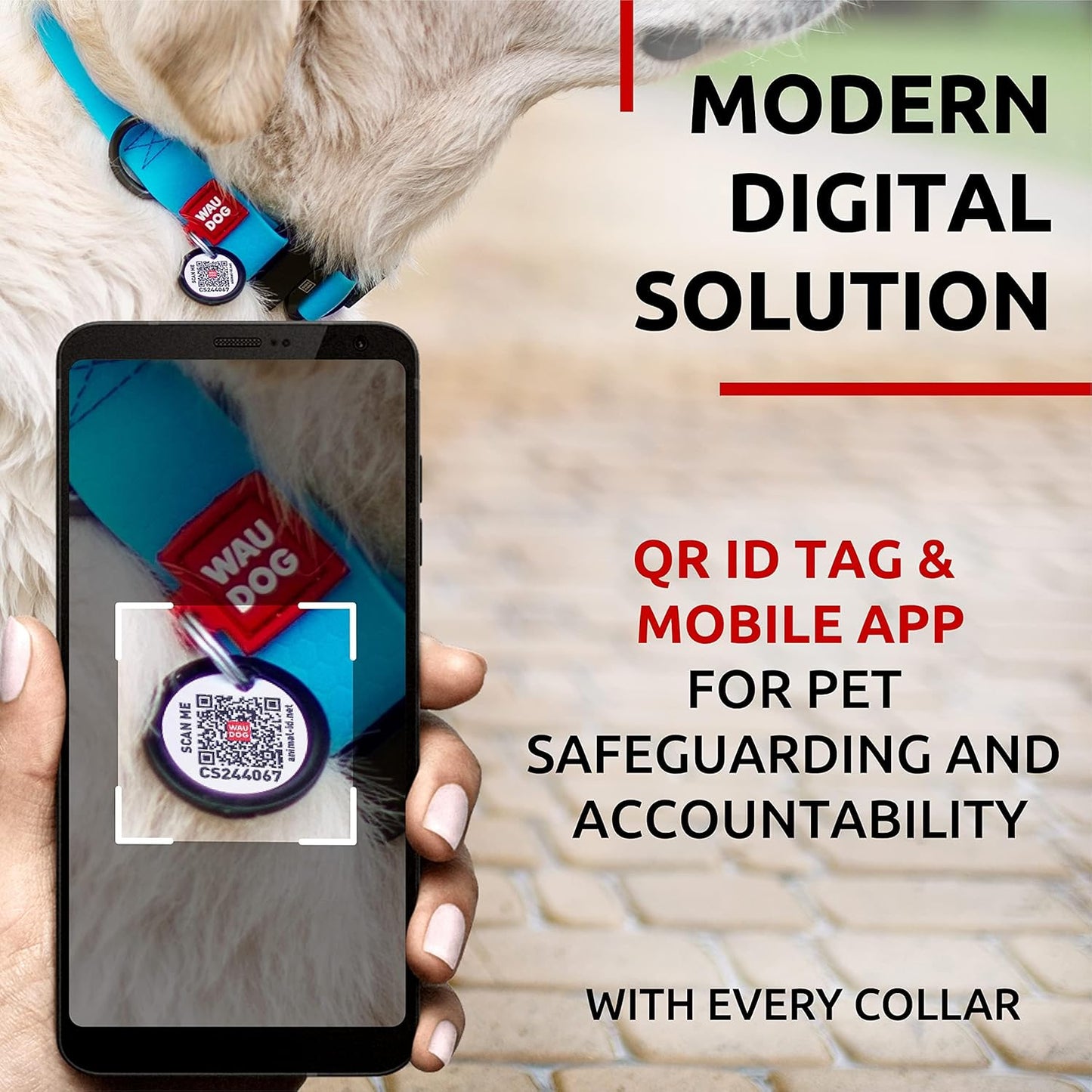 Waterproof Dog Collar - Adjustable Glow Dog Collar for Large Dogs, Small and Medium Dogs - Heavy Duty Dog Collars with Durable Metal Clasp and QR Dog Tag - Glow in The Dark Dog Collars