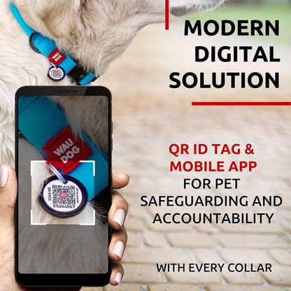 Waterproof Dog Collar - Adjustable Glow Dog Collar for Large Dogs, Small and Medium Dogs - Heavy Duty Dog Collars with Durable Metal Clasp and QR Dog Tag - Glow in The Dark Dog Collars