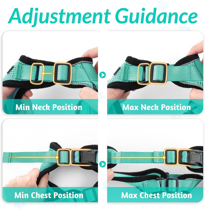 rabbitgoo Cat Harness and Leash for Walking, Escape Proof Soft Adjustable Vest Harnesses for Small Medium Cats, Easy Control Breathable Reflective Strips Jacket, XS, Black