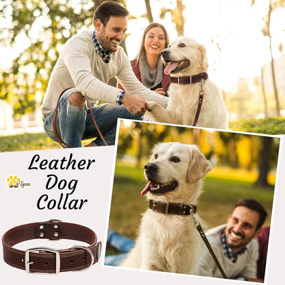 ADITYNA Heavy-Duty Leather Dog Collar for Medium Dogs - Soft and Strong, 100% Genuine Leather - Collier Pour Chien (Medium: Fit 13" - 20" Neck, Brown)