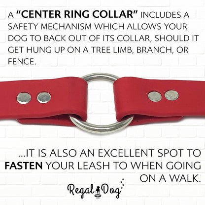 Regal Dog Products Small Orange Waterproof Dog Collar and Leash Set - Vinyl Coated, Biothane Puppy Pet Training Collar with Heavy Duty Center Ring & 5'ft Leash - Other Sizes for Medium & Large Dogs