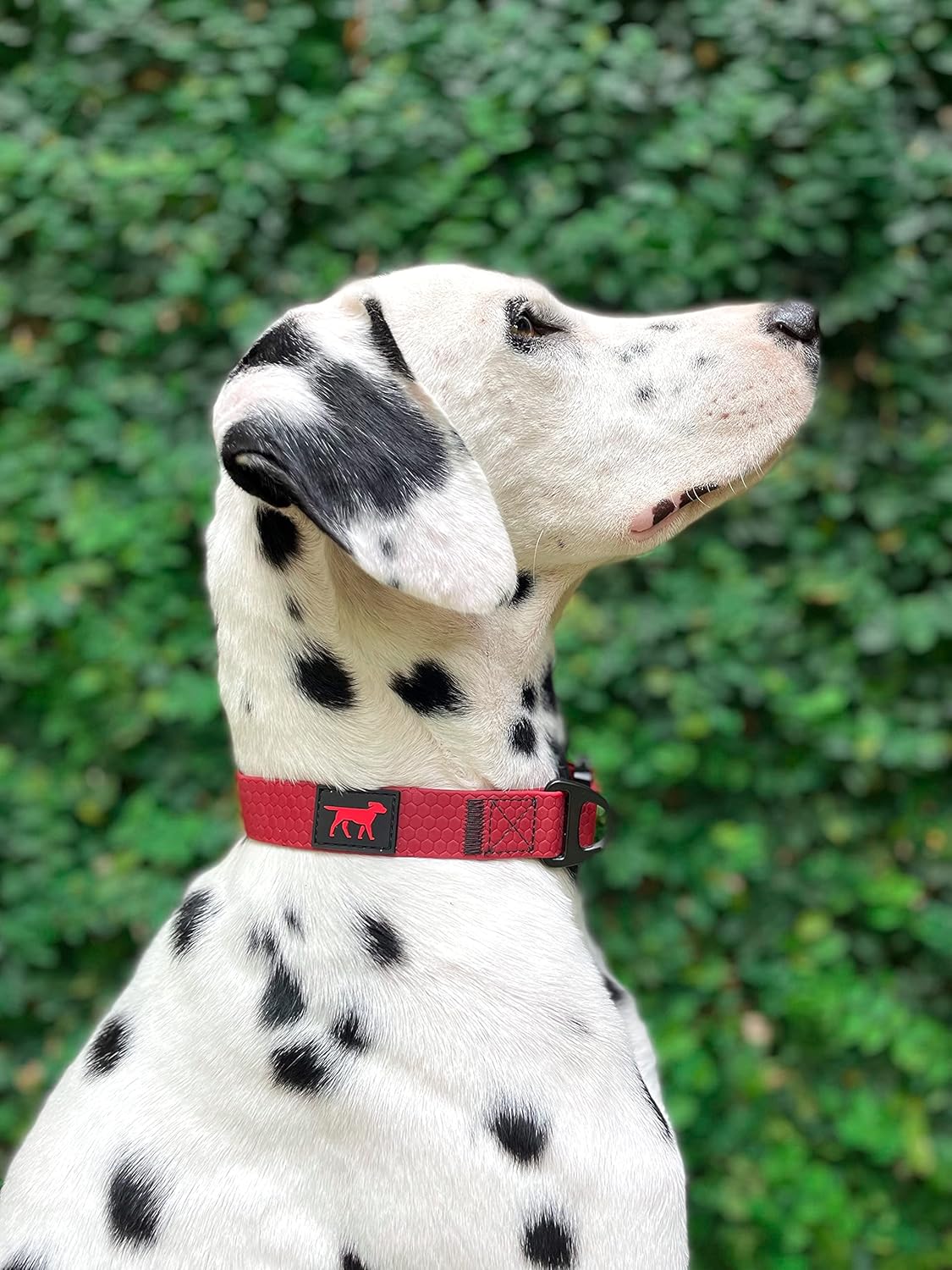 Tuff Pupper Waterproof Action Collar for Dogs | Heavy Duty Water Proof Dog Collar | Tear Proof & Odor Free | Rust-Proof Metal Hardware | Tactical Quick Release Buckle | for Adventurous, Active Dogs