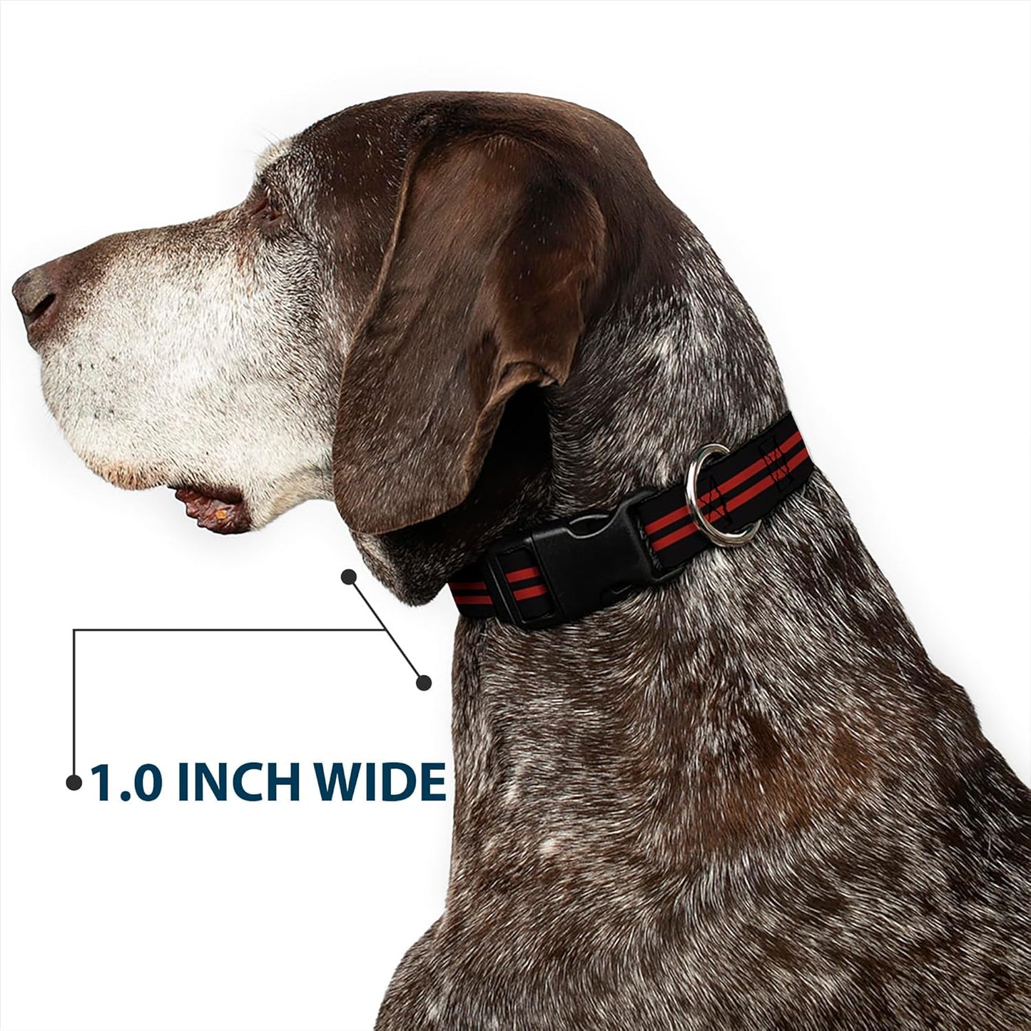 Buckle-Down PC-W21909-M Dog Collar Plastic Clip Buckle, 1"x11"-17", Star Black/White