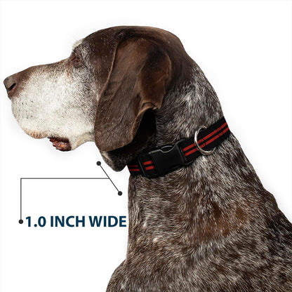 Buckle-Down PC-W21909-M Dog Collar Plastic Clip Buckle, 1"x11"-17", Star Black/White