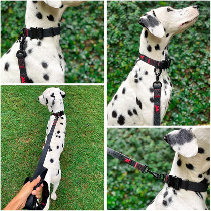 Tuff Pupper Waterproof Action Collar for Dogs | Heavy Duty Water Proof Dog Collar | Tear Proof & Odor Free | Rust-Proof Metal Hardware | Tactical Quick Release Buckle | for Adventurous, Active Dogs