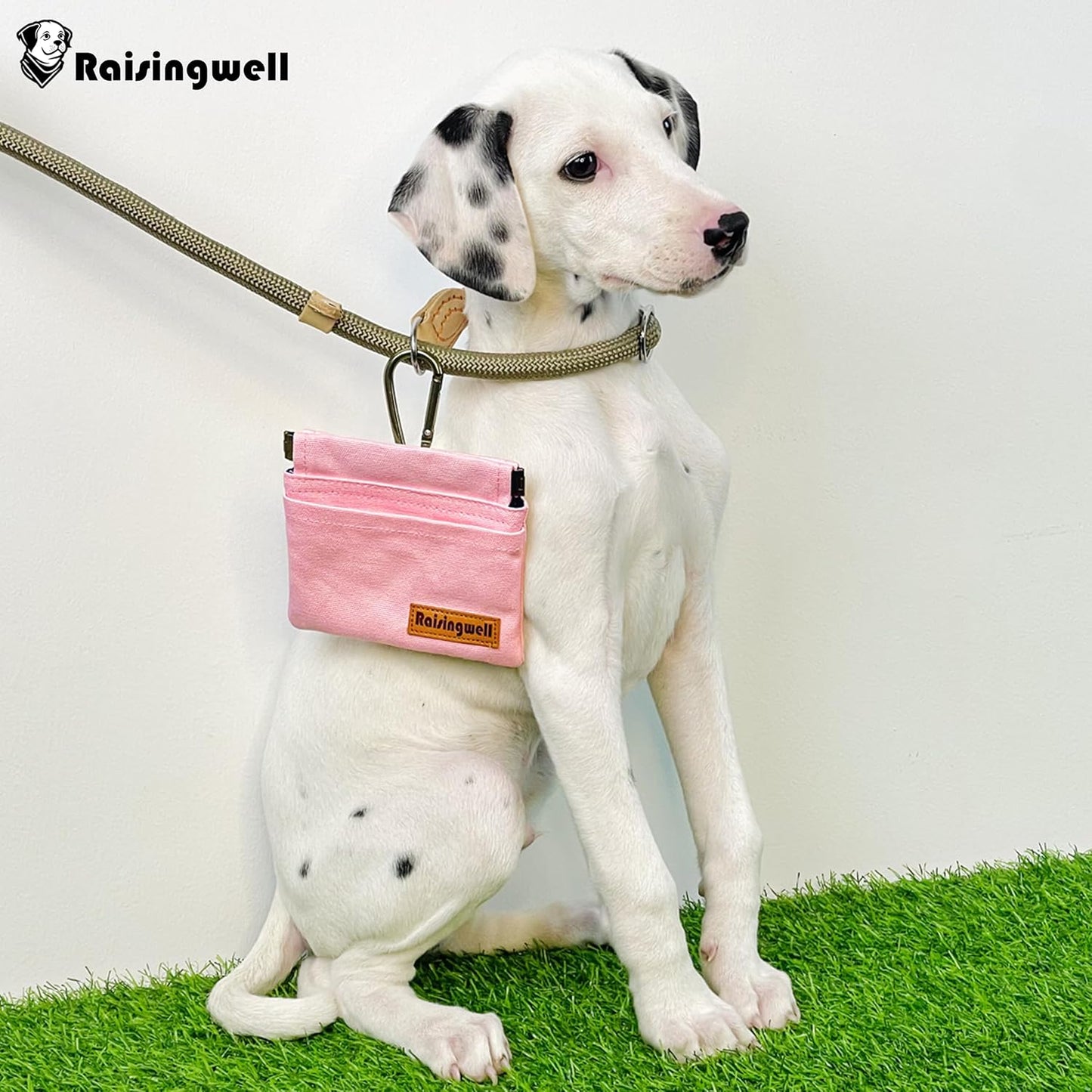 Raisingwell Dog Treat Pouch, Black Pocket Sized Pet Training Pouch, Cotton Fabric, Hand Free Dog Walking Bag with Carabiner, Self-Closing Pet Feed Snack Reward, for Pet Puppy Travel or Outdoor Use